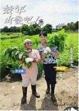 adc影院人文综艺城市漫游者海报